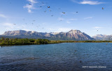 K5I0809-Waterton Lakes National Park.jpg