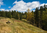 IMP0758-Kananaskis.jpg