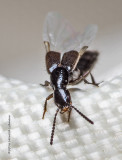 K3D5487-unidentiified.jpg