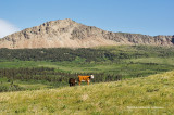 K3D6231-Ranching.jpg