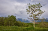 K5I1775.jpg