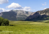 IMP4157-Waterton Lakes National Park.jpg