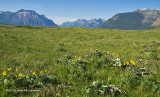 K5I1436-Waterton Lakes National Park.jpg