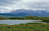 K310909-Waterton Lakes National Park.jpg
