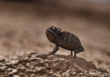 web_namibia-13.JPG