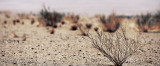 web_namibia-28.JPG