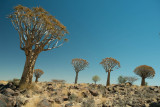 web_namibia-58.JPG