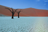 web_namibia-75.JPG