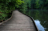 Powel Crosley Lake Wooden Walkway