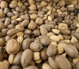 Just Nuts