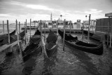 Gondolas Of Venezia