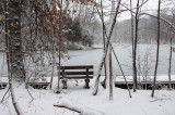 Winter View