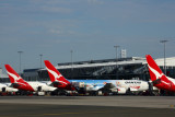 QANTAS AIRCRAFT SYD RF 5K5A8585.jpg