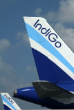 INDIGO AIRBUS A320S DXB RF IMG_8662.jpg