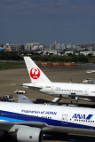 ANA JAPAN AIRLINES AIRCRAFT FUK RF 5K5A1000.jpg