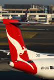 QANTAS LINK DASH 8 400 SYD RF 5K5A3561.jpg