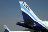 INDIGO AIRBUS A320s DXB RF  IMG_0298.jpg