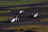 QANTAS LINK DASH 8s SYD RF 5K5A5823.jpg