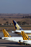 SINGAPORE AIRLINES TIGERAIR AIRCRAFT MEL RF 5K5A6159.jpg