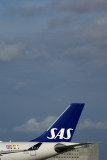 SAS AIRBUS A330 300 MIA RF 5K5A6135.jpg