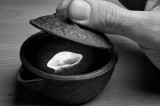 meduse hohin bw.jpg