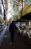 Melbourne Collins Street in Autumn