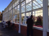   Bendigo Victorian Glasshouse