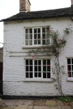 Red Rose Ingersleyvale