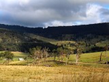 Northern Highlands, NSW ~ Power Lines, 