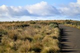  Razorback trail