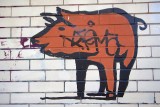 Oink 
