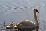 Happy Mothers Day!