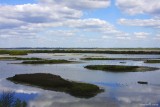 Le Teich