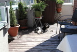 IMG_8467.JPG