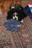 IMG_8473.JPG