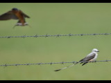 DSC_0688b.jpg