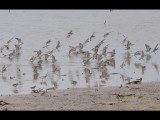 DSC_0366b.jpg