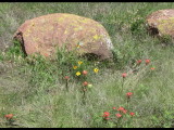 IMG_5376b.JPG