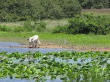 IMG_5407b.JPG