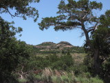 IMG_5424b.JPG