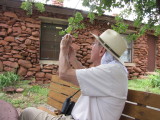 IMG_5446b.JPG