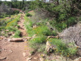 IMG_0003b.JPG
