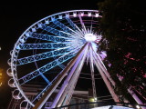 IMG_0689b.JPG