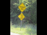 IMG_0731b.JPG