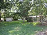 IMG_0733b.JPG