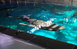 20140726_111134b.jpg