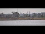 DSC_0930b.JPG
