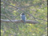 DSC_1077b.JPG