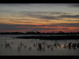 DSC_1293b.JPG