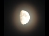 DSC_1294b.JPG